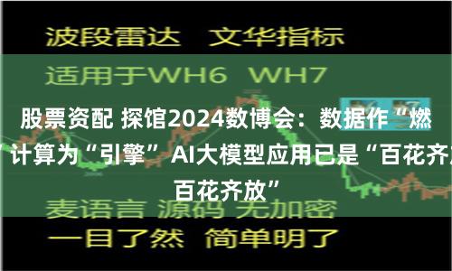 股票资配 探馆2024数博会：数据作“燃料”计算为“引擎” AI大模型应用已是“百花齐放”